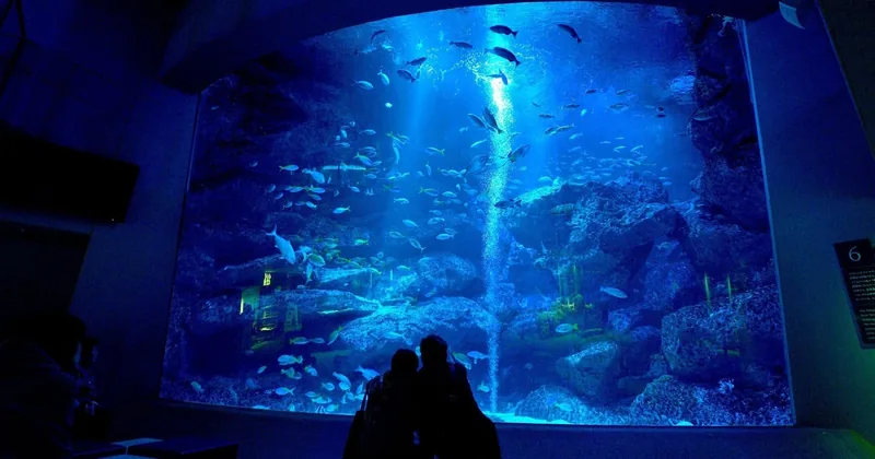 Skytree & Sumida-Aquarium Enjoy Pack