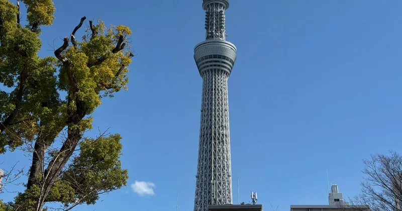 La Tokyo Skytree contro un cielo azzurro limpido, i due anelli panoramici vicino alla cima, alberi in primo piano